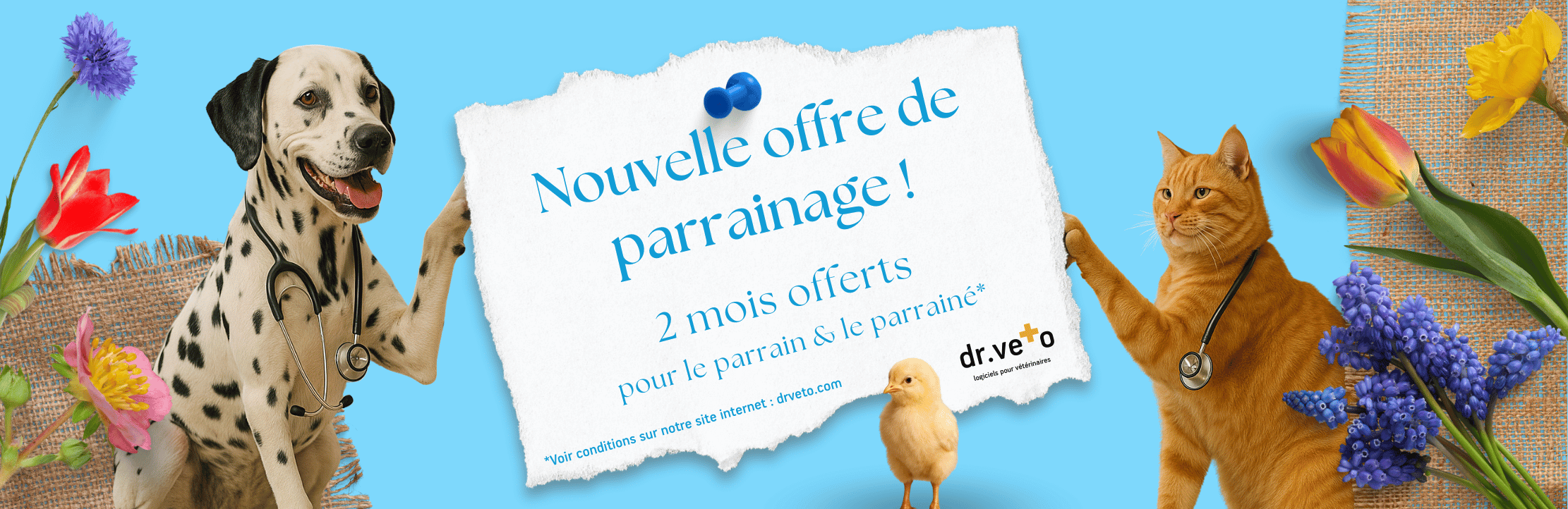 Bannière ALCYON - Parrainage dr.veto.png